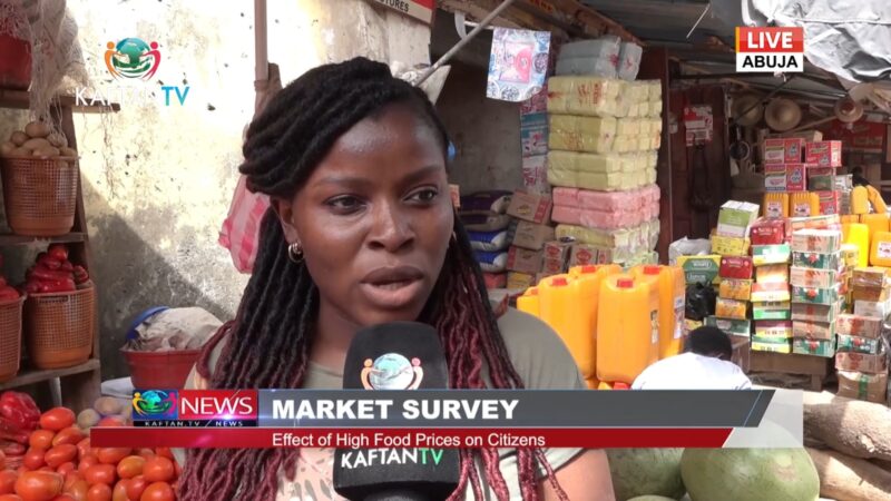 503918d6-1fee-4eaa-9195-d4f9d6943f19